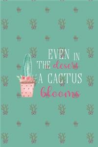 Even In The Desert A Cactus Blooms