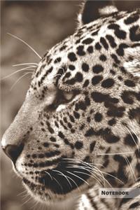 Jaguar Notebook