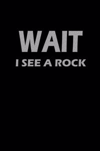 Wait I see a rock