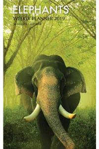 Elephants Weekly Planner 2019