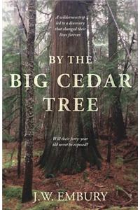 By the Big Cedar Tree