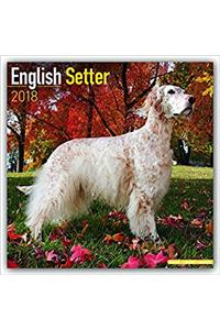 English Setter Calendar 2018