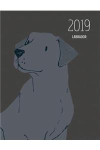 2019 Labrador