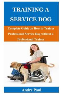Training a Service Dog
