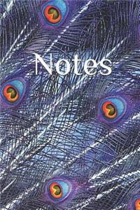 Notes