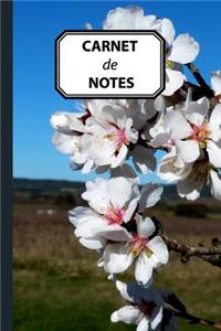Carnet de Notes