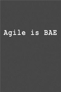 Agile Is Bae