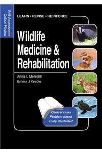 Wildlife Medicine and Rehabilitation