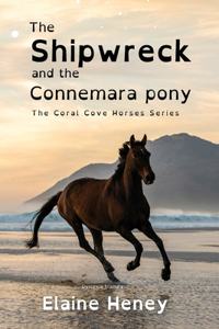 Shipwreck and the Connemara Pony - Dyslexia Friendly