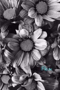 Flow