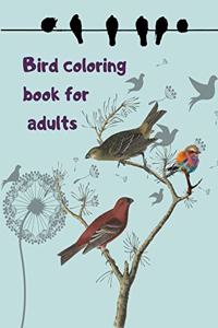 Bird coloring book for adults