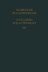 Plant Respiration Inclusive Fermentations and Acid Metabolism / Pflanzenatmung Einschliesslich Garungen und Saurestoffwechsel