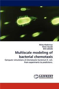 Multiscale Modeling of Bacterial Chemotaxis