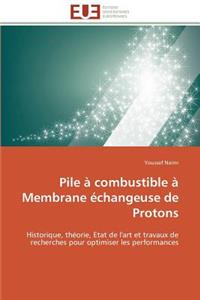 Pile À Combustible À Membrane Échangeuse de Protons