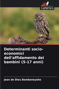 Determinanti socio-economici dell'affidamento dei bambini (5-17 anni)