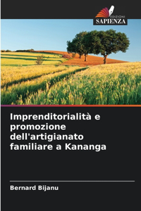 Imprenditorialità e promozione dell'artigianato familiare a Kananga