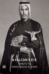 A Falcon's Eye