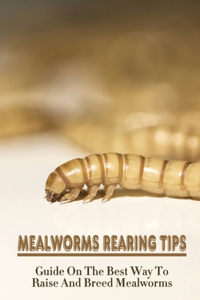 Mealworms Rearing Tips