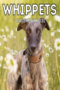 Whippets Calendar 2021