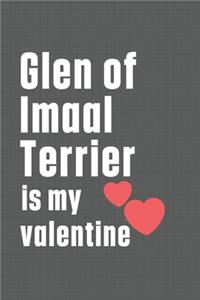 Glen of Imaal Terrier is my valentine