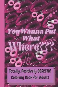 You Wanna Put What Where