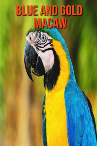 Blue and Gold Macaw