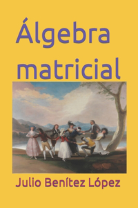 Álgebra matricial