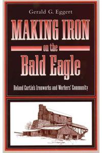 Making Iron on the Bald Eagle