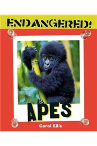 Apes