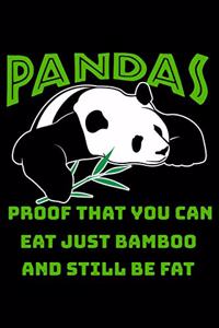 Pandas Proof That You Can Eat Just Bamboo And Still Be Fat