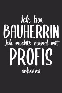 Ich Bin Bauherrin Ich Möchte Einmal Mit Profis Arbeiten