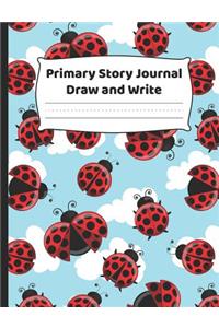 Primary Journal Draw And Write