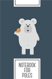 Notebook for Poles