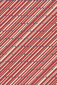 Patriotic Pattern United States of America 49