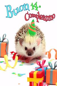 Buon 14° Compleanno