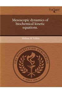 Mesoscopic Dynamics of Biochemical Kinetic Equations
