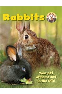 Rabbits