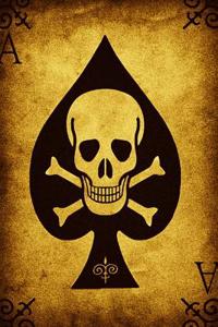 Skull and Crossbones Journal: 160 Page Lined Journal/Notebook