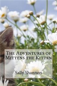 The Adventures of Mittens the Kitten
