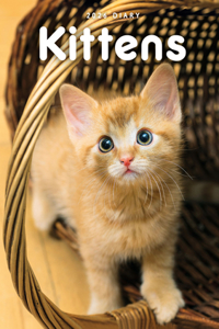 2026 Kittens Engagement Diary