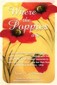 Where the Poppies are