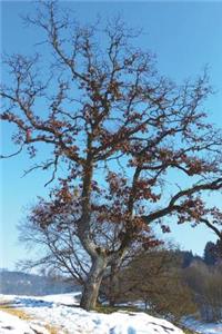 Winter Oak Tree Journal