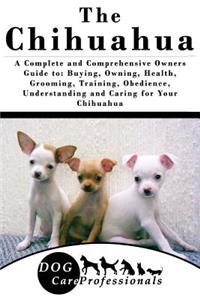 The Chihuahua