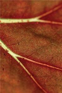 Autumn Leaf Veins Notebook
