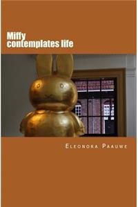 Miffy contemplates life
