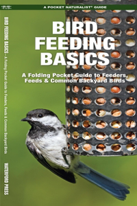 Bird Feeding Basics