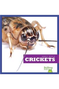 Crickets
