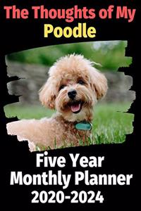 The Thoughts of My Poodle