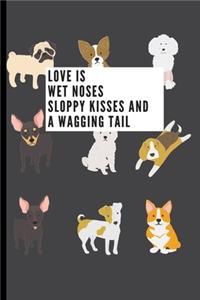 Love is wet noses sloppy kisses and a wagging tail