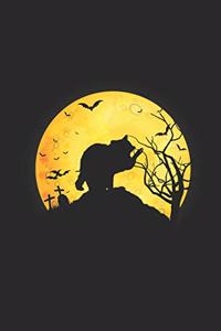 Halloween Animal - Racoon